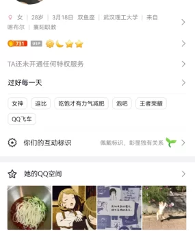 襄阳的一条野狗